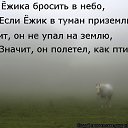 ���� �������, �����-���������, 59 ��� - ��������� 14 ������� 2015 � ������ �������-�������