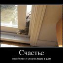 ���� �����, ������, 44 ���� - ��������� 29 ������ 2016 � ������ ���� ����������