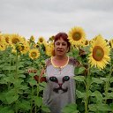 ���� �����, ������, 63 ���� - ��������� 15 ������� 2015