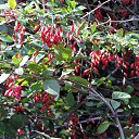  , , 60  -  4  2015   25.10.15.   