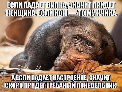  - 1  2016  16:53 - 3