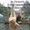���� ��������, ���������, 69 ��� - ��������� 6 ������� 2016 � ������ ������ ��������