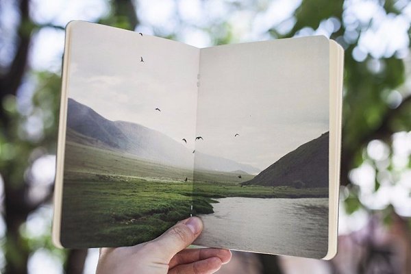 Хотите мыслить шире, читайте! 58 книг, которые научат вас этому.Сохраните себе 1. Данте Алигьери ...