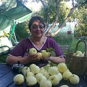  , -, 68  -  29  2016    