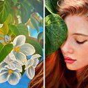 ���� �����, ���� - ��������� 29 ������� 2016 � ������ ������ ��������