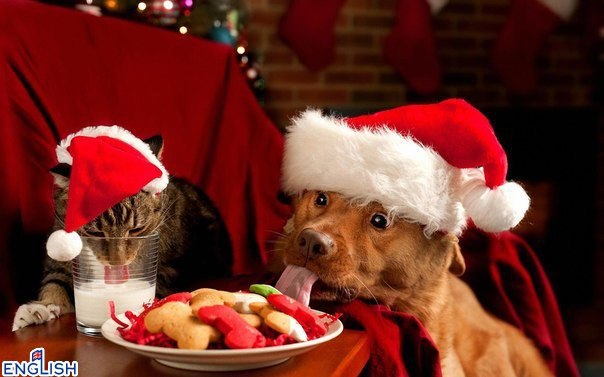 CТИШКИ О РОЖДЕСТВЕ И НОВОМ ГОДЕ.* * * Jingle bells, jingle bells, jingle all the way,Oh what fun it ...