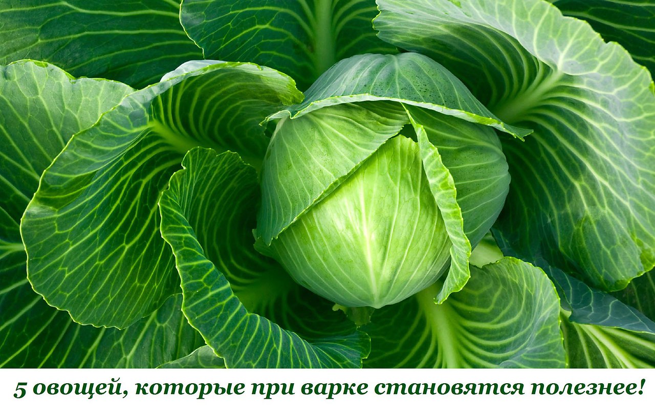 5 ,     !   -   , , ...