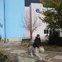 ���� ������, ���������, 48 ��� - ��������� 17 ������ 2016 � ������ ���� ����������