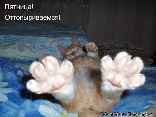 С пятницей! Повеселимся? Не забудьте включить звук! Кликните на мужчинку и поводите мышкой! Если ...