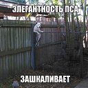 ���� ������, ������������, 57 ��� - ��������� 14 ������ 2015 � ������ ������ ��������