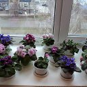 ��� ������� �����! �� ������� ���� ����������