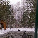  ,   -  25  2015    