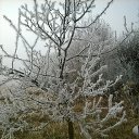 ���� ����, ������, 61 ��� - ��������� 8 ������ 2015 � ������ ������� ������� �����