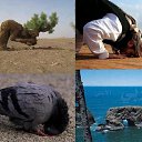 ���� ��������, ������, 34 ���� - ��������� 26 �������� 2015 � ������ ������ ��������