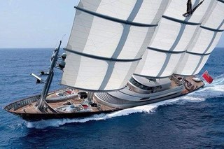 C      Maltese Falcon ( )    Perini ...