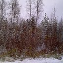 ���� ������, ������, 61 ��� - ��������� 1 ������� 2015 � ������ �������.�