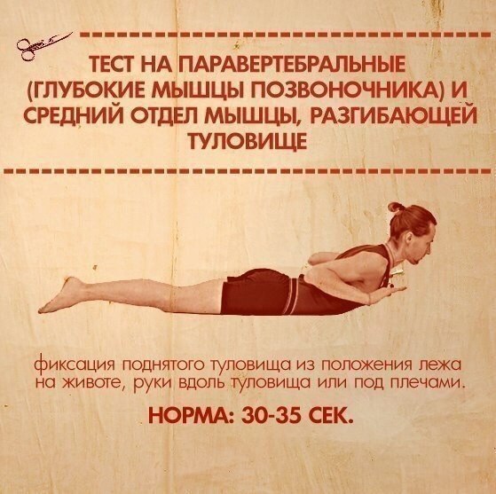 10 упражнений, которые покажут ваши слабые места.Тело нетренированного человека очень ... - 10
