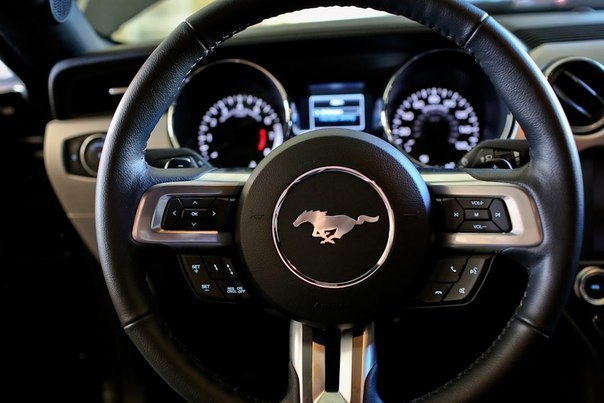 Ford Mustang - 3