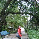 ���� ���, ������ - ��������� 6 ������ 2015 � ������ ���߻