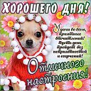 ���� �������, �����, 55 ��� - ��������� 29 ������ 2016 � ������ ������ ��������