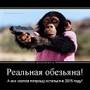 ���� �����, ������, 56 ��� - ��������� 2 ������ 2016 � ������ ������ ��������