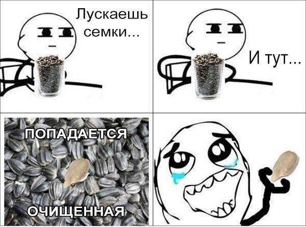   :D - 5  2016  18:35