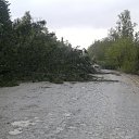 ���� ���������, �������, 38 ��� - ��������� 5 ������� 2015 � ������ ���