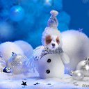 ���� �����, �����-��������� - ��������� 11 ������ 2016 � ������ ���� ����������