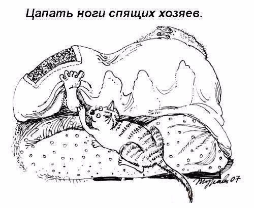  - 4