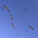 ���� �����, ������, 76 ��� - ��������� 17 ������� 2015 � ������ ������������� ��������� �������Ȼ