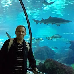 ���� �����, ������, 62 ���� - ��������� 22 ������� 2015