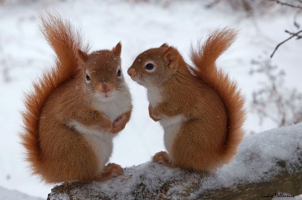   - 16  2015  18:09 - 7