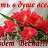 ���� �������, ����������� - ��������� 24 ������� 2016