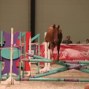 ���� ������, �����-���������, 70 ��� - ��������� 4 ������� 2015 � ������ ��� ������ �������� � �����-����������