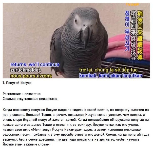     ,      ,    ... - 7