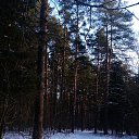 ���� �������, �������, 62 ���� - ��������� 7 ����� 2016 � ������ ������ ��������