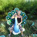 ���� �������, ������-��-����, 71 ��� - ��������� 30 ������ 2016 � ������ ���� ����������