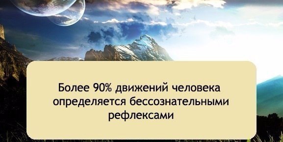 LIFE -  - 13  2016  21:28