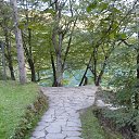  ,  -  26  2015       2015 