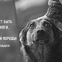  @t, - -  8  2015    