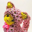 ���� ������, ������, 48 ��� - ��������� 31 ������ 2016 � ������ ������ ��������