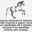 ���� ������, ��������� - ��������� 1 ������� 2015 � ������ ������ ��������