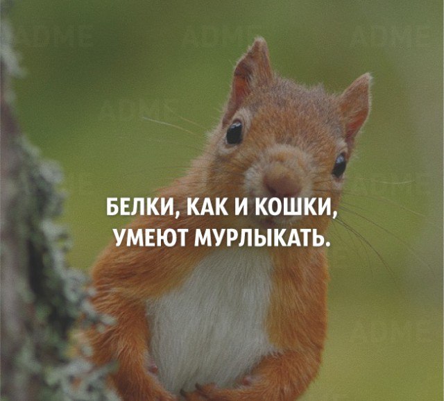 p.s _rain_