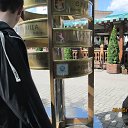 ���� ���������, ����, 32 ���� - ��������� 30 �������� 2015 � ������ ���� ����������