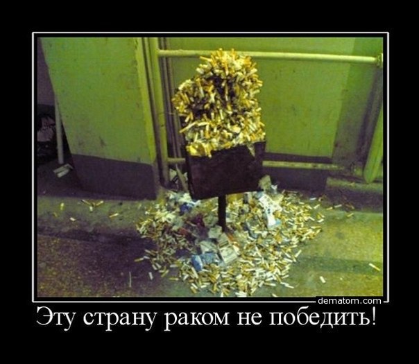 -  - 23  2016  04:36