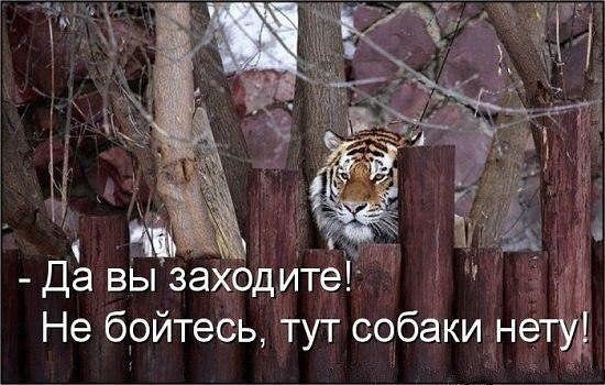   - 24  2015  14:01