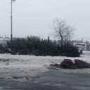 ���� ����, ������ - ��������� 10 ����� 2016 � ������ �� 6.03 �� 8.03�