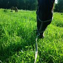 ���� Alena, �������, 30 ��� - ��������� 17 ������ 2016 � ������ ���� ����������