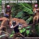 ���� ���������, ������������, 41 ��� - ��������� 15 ������� 2016 � ������ ������ ��������
