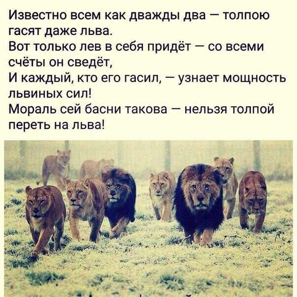 .https://fotostrana.ru/away?to=/sl/kxC2 - 3  2016  16:54